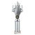 5 Star Tube Trophy | Silver | 290mm - TR26547D