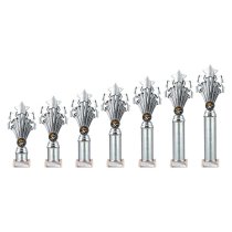 5 Star Tube Trophy | Silver | 315mm