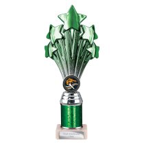 5 Star Tube Trophy | Green and Silver | 240mm
