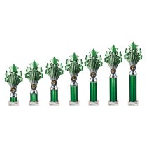 5 Star Tube Trophy | Green and Silver | 365mm