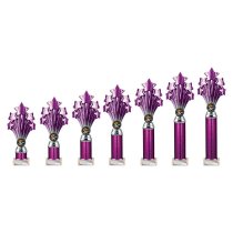 5 Star Tube Trophy | Purple and Silver | 240mm