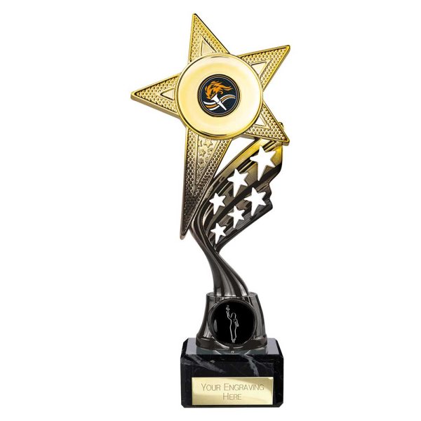 Innov8 Star Trophy | Gold & Black | 230mm