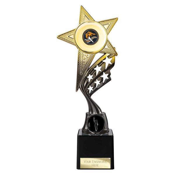 Innov8 Star Trophy | Gold & Black | 250mm