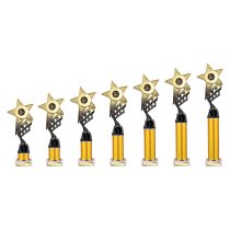 Innov8 -Tube Trophy | Gold & Black | 400mm