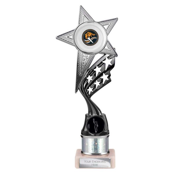 Innov8 -Tube Trophy | Silver & Black | 250mm