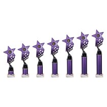Innov8 -Tube Trophy | Purple & Black | 400mm