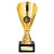 Rising Stars Premium Trophy | Gold | 185mm - TR26688B