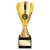 Rising Stars Premium Trophy | Gold | 205mm - TR26688C