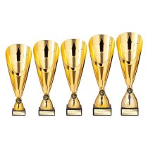 Rising Stars Deluxe Lazer Cup | Gold | 335mm