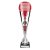 Eclectic Trophy | Silver & Red | 330mm - TR26640A