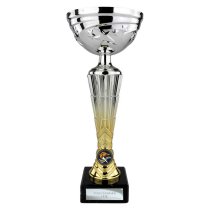Hyper Trophy Cup | Silver & Gold | 295mm