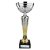 Hyper Trophy Cup | Silver & Gold | 295mm - TR26206C