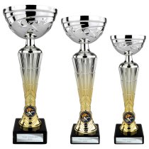 Hyper Trophy Cup | Silver & Gold | 295mm