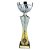 Vigour Trophy Cup | Silver & Gold | 290mm - TR26207B
