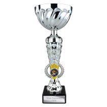 Energy Trophy Cup | Silver & Gold | 295mm