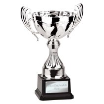 Endeavour Cup | Silver | 230mm