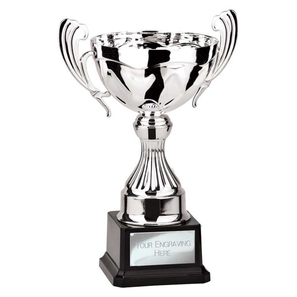 Endeavour Cup | Silver | 230mm