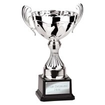 Endeavour Cup | Silver | 260mm