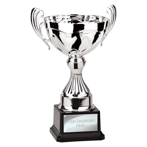 Endeavour Cup | Silver | 260mm