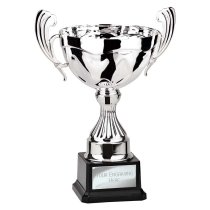 Endeavour Cup | Silver | 290mm