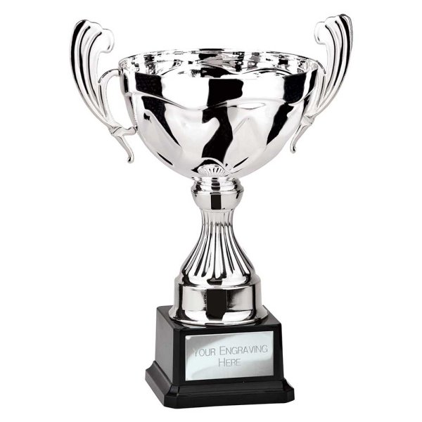 Endeavour Cup | Silver | 290mm