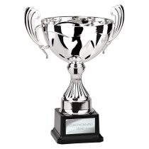 Endeavour Cup | Silver | 315mm
