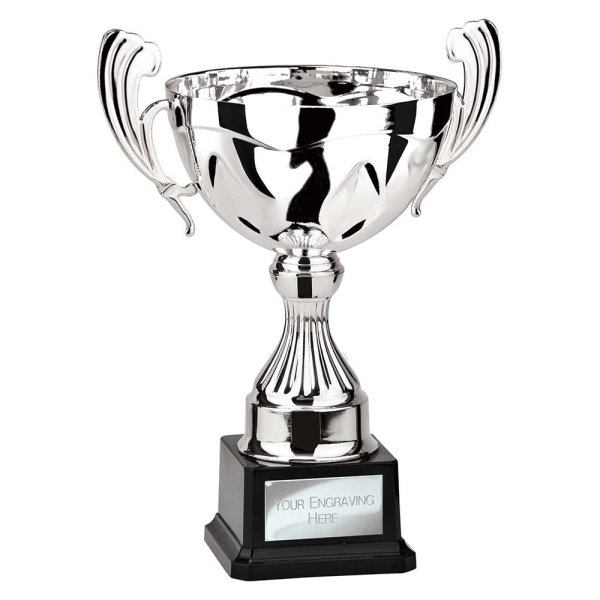 Endeavour Cup | Silver | 315mm
