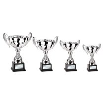 Endeavour Cup | Silver | 315mm