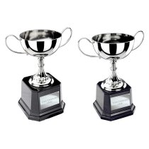 Tavistock Cup Nickel Plated | 170mm