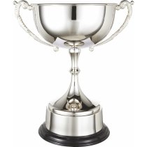 Silver Plated Cup #3 | Plated Band | 230mm